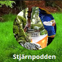 stjarnpodden's profile picture. Stjärnpodden består av Johan Engström, Måns och Olof Sandgren. Vi diskuterar elitorientering och har åsikter om i stort sett allt. Ett måste för varje OL-nörd!