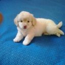 doris stella acosta - @Dorisstella17 - Twitter