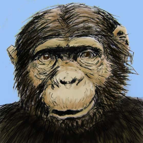 dinaday's profile picture. Artist, Illustrator, Designer, http://t.co/0TpyhTVzgM