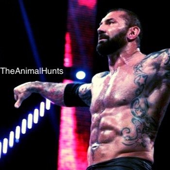 My name is Dave Bautista but most know as The Animal Batista because I hurt my opponets in that ring. {NOT!!! @DaveBautista} #TheAnimal #Single #DealWithIt {RP}