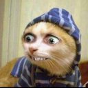 carrie wilcox - @CarrieWilcox97 - Twitter