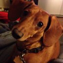 Vicki Briggs Roche - @vicki_roche - Twitter