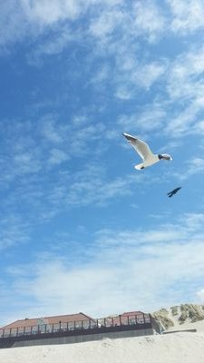 jdcreek222's profile picture. 