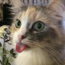 Philip Egan - @PhilipPlayGame - Twitter