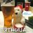 7yyOnlKRiq132gJ's profile image