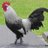 galense1908's profile image