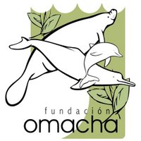 Fundación Omacha(@FundacionOmacha) 's Twitter Profile Photo