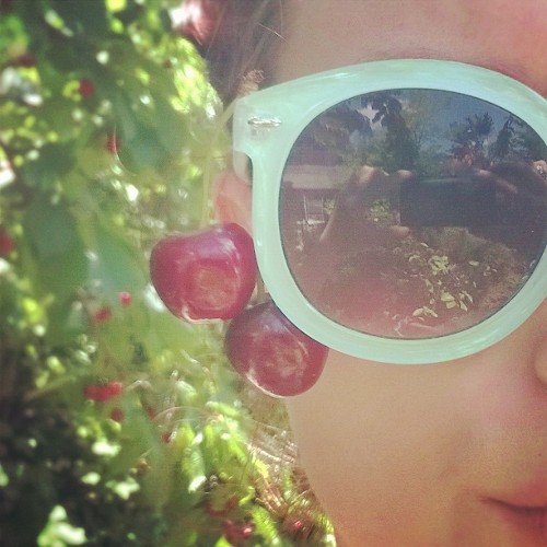 fanniwithani's profile picture. so many things, so little time