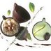 Mirabella (@mirabellafoods) Twitter profile photo Mirabella (@mirabellafoods) Twitter profile photo