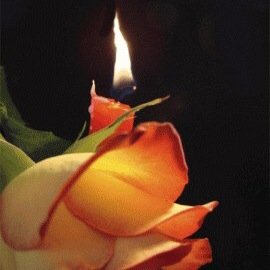 Дарина Лик ангелочек