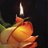 katya_1805's profile image