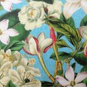 Doris Blueer - @DorisBlue123 - Twitter