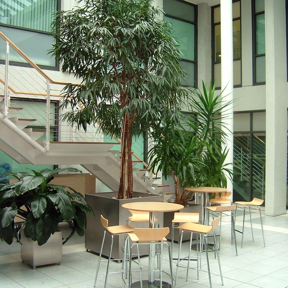 The Graduate School of Arts, Languages and Cultures, The University of Manchester