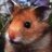 LqcItsYJjOwXilN's profile image