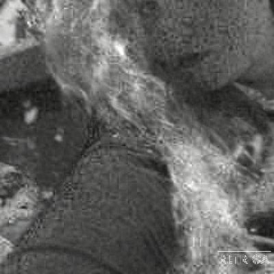 daniellefunny's profile picture. 