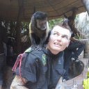 wayne macleod - @monkeymacleod - Twitter