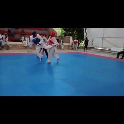 Nivel;16 Vivir sin miedo || • AMAT VICTORIA CURAM • || Tae Kwon Do❤️|| Espiritu Indomable ||