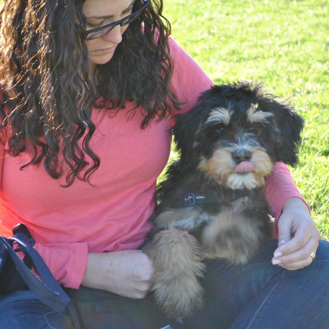 BrandiSecher's profile picture. 