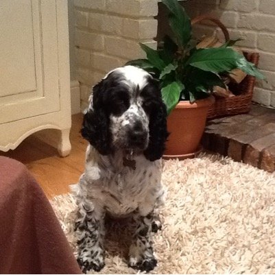 Lynwoodwillow's profile picture. 