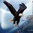 yahya_4343's profile image