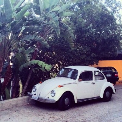 Socalslugbug's profile picture. Slugbug, youre it. Curated by @patriciawayne