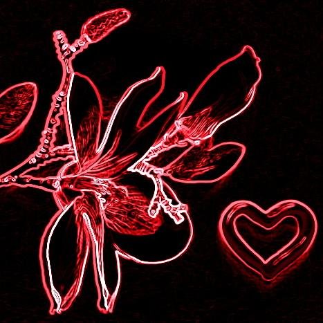 Autorin, Texterin und Bloggerin - Genre: Liebe, Fantasy, moderne Frauen, Sachbücher ✒️🗒🖊🖥