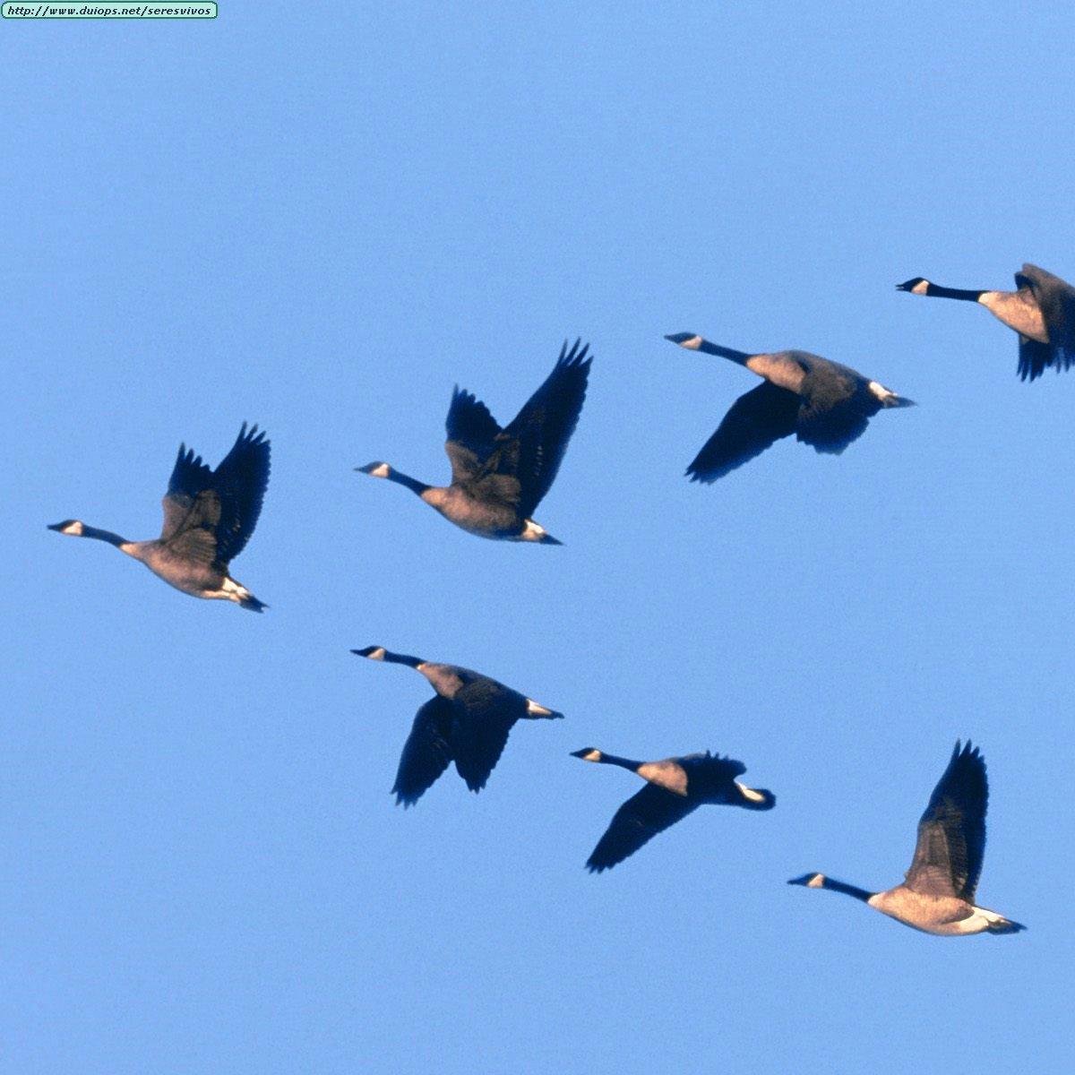 Drlindadwight's profile picture. Communicating to our community through technology.