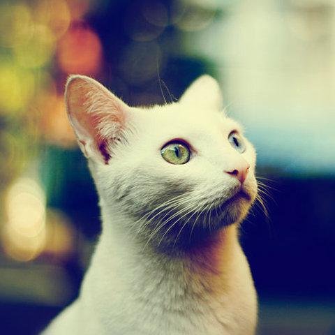 FlowyDoe's profile picture. Editor & player from Finland :)