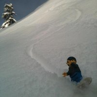 Shawn J. Sullivan (@shawnjsullivan) 's Twitter Profile