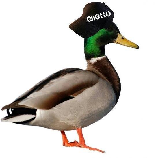 jst ur evri dai getto duck doin quack wid yer bich