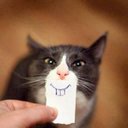 Ray Sorrell - @billyraytoilet - Twitter