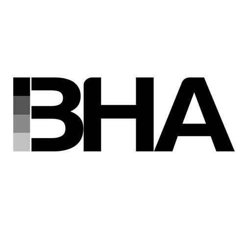 A Leading Distributor of Alternative Products: BHA Provides Modern Solutions for Experienced Investors