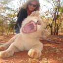 Jan Forest - @janforest1 - Twitter