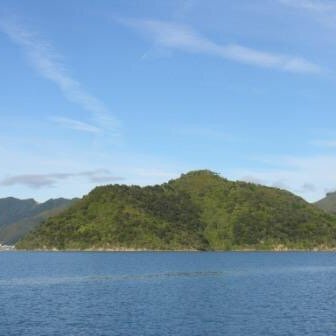 Mainland Island wildlife sanctuary in the beautiful #MarlboroughSounds at the top of the South Island of New Zealand. Access is by boat only.Donations welcomed!