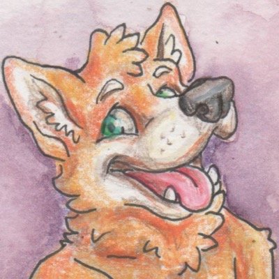 🎥 • 🐾 • ☮️ • trying to figure out how to adult • Telegram: @curlz