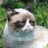 palefox3's profile image