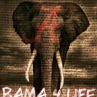 bama.houndstooth (@tiphoundstooth) 's Twitter Profile