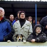 Fan Owned Football (@ruudvandegraaf) 's Twitter Profile