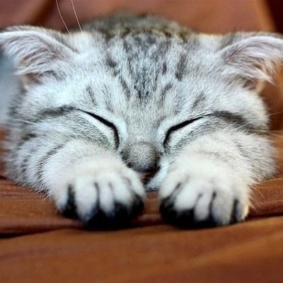 YukIGeisT's profile picture. 