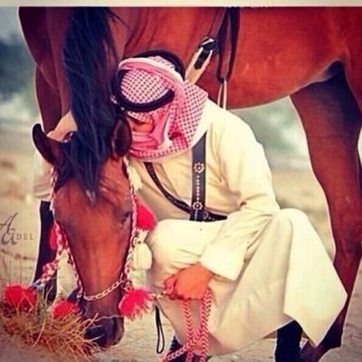 تغريداتي في مفضلتي اتشرف في مرورك هلاً وسهلاً