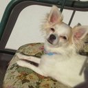 Anna Salamone - @annasalomone26 - Twitter