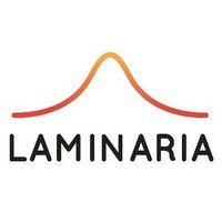 Laminaria (@laminariawave) 's Twitter Profile