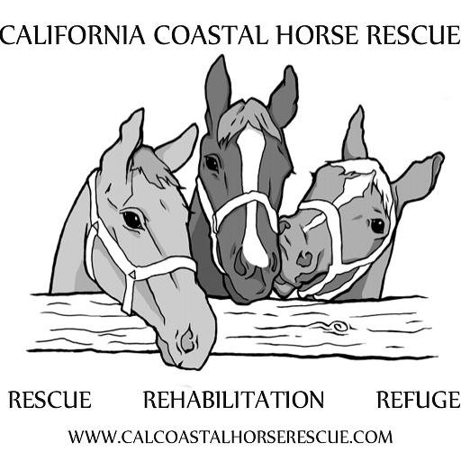 CCHR is dedicated to the rescue, rehabilitation and adoption of previously abused, neglected and abandoned horses. Follow us on #hivesocialapp @CCHR