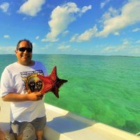 creationbuddies (@creationbuddies) 's Twitter Profile