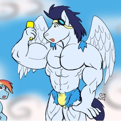 I'm Soarin I'm a Wonderbolt and i like mare and think they are sexy SSP: none #Single #Bi Sister: @R34ClopSlutMLP