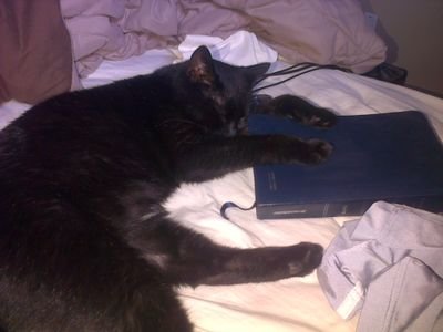 musicalelsa's profile picture. Just a normal gal, passionate about the Truth and standing firm in it.