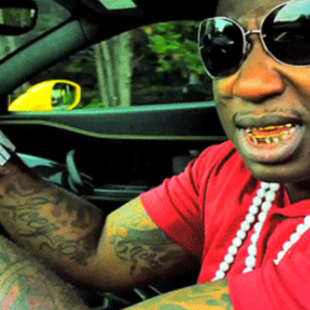 Gucci da bird watcher