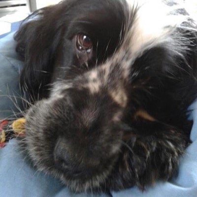 mattsearle5's profile picture. 