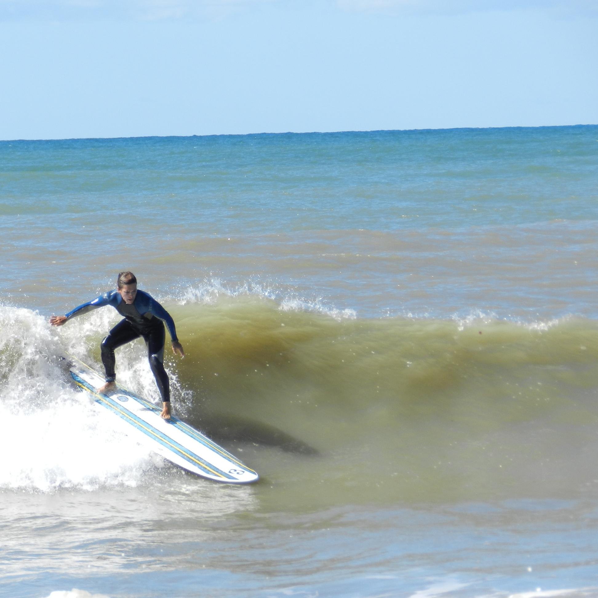 alitamdqu's profile picture. 