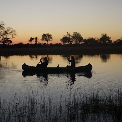 harrystothard's profile picture. 